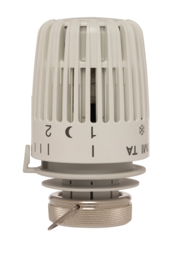 Bild på TA TERMOSTAT TRV300 M LÅSRING